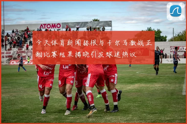 今天体育新闻赫根与卡尔马激战正酣比赛结果揭晓引发球迷热议